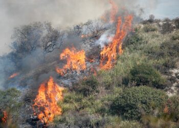 CONTRASTO AGLI INCENDI BOSCHIVI. UNCEM: POSITIVO L’OPERATO DELLA REGIONE CALABRIA
