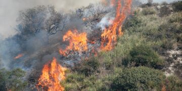 CONTRASTO AGLI INCENDI BOSCHIVI. UNCEM: POSITIVO L’OPERATO DELLA REGIONE CALABRIA