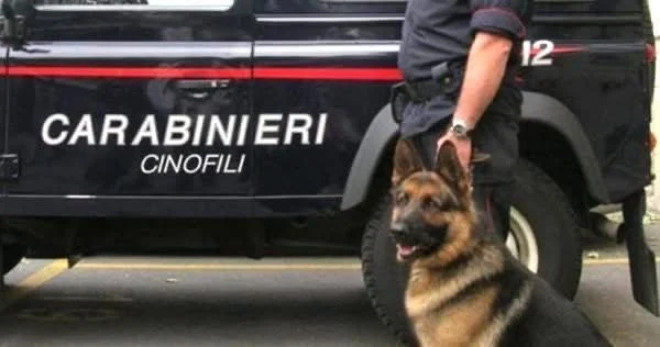 Provvidenziale intervento dei Carabinieri Cinofili sulla SS 407 Basentana