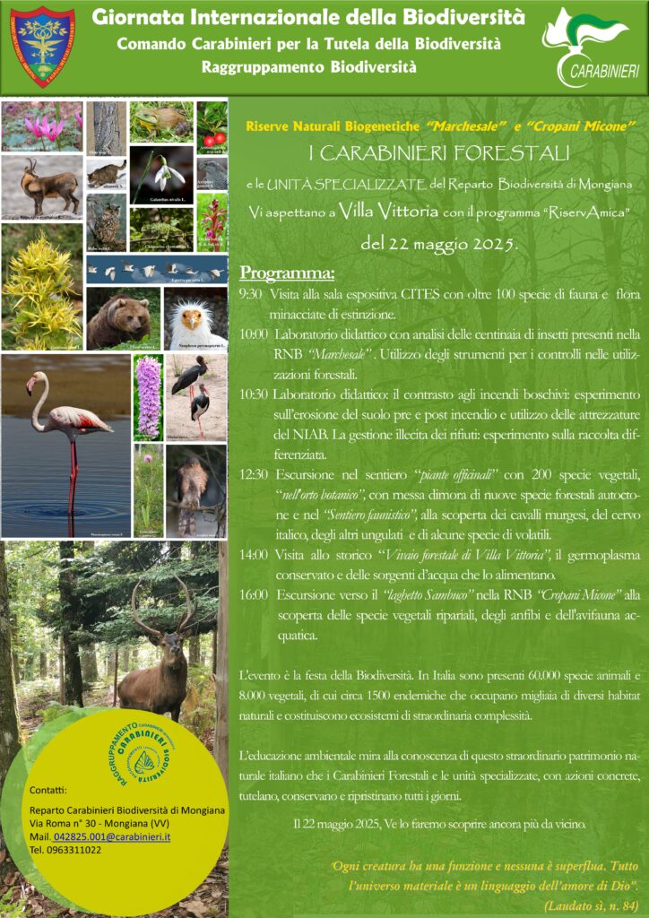 Il 22 maggio torna “RiservAmica”: le Riserve dei Carabinieri Forestali aprono le porte alla natura