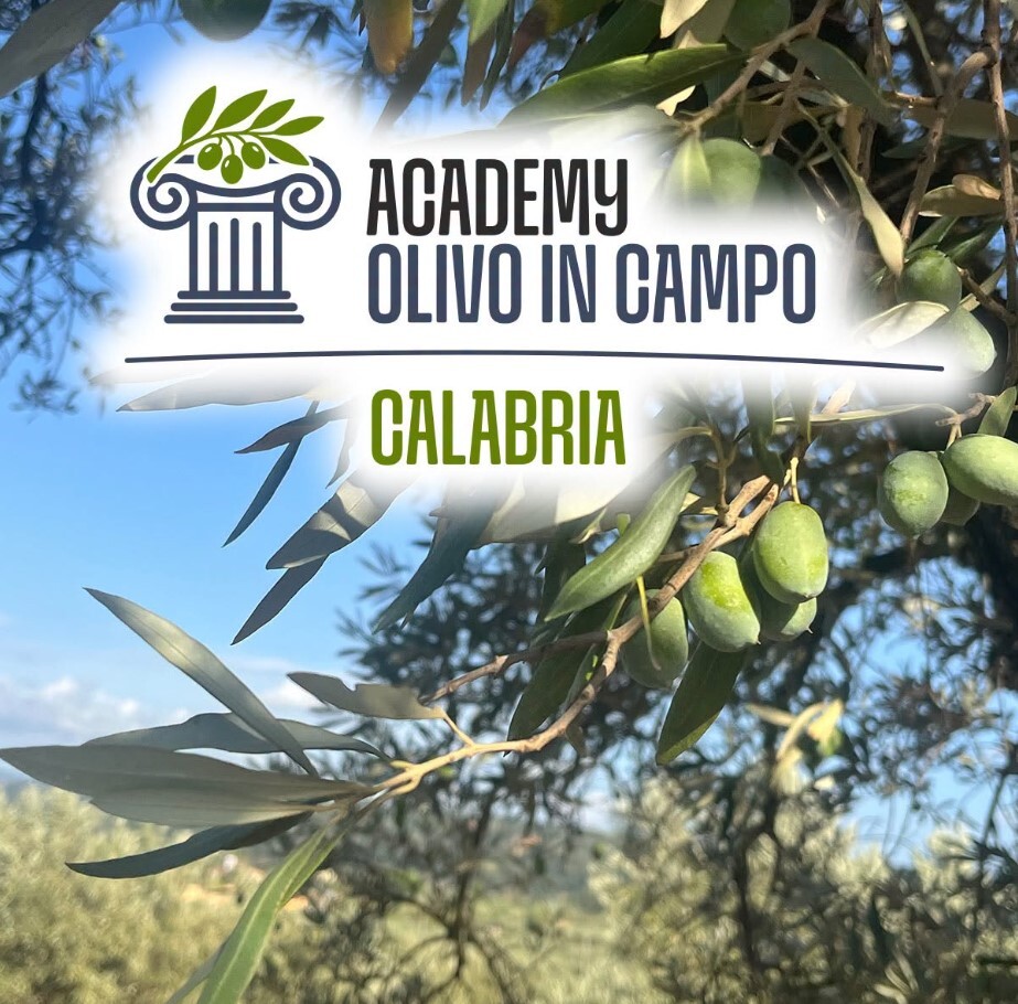 “Academy Olivo in Campo Calabria”: lunedì conferenza stampa alla Cittadella
