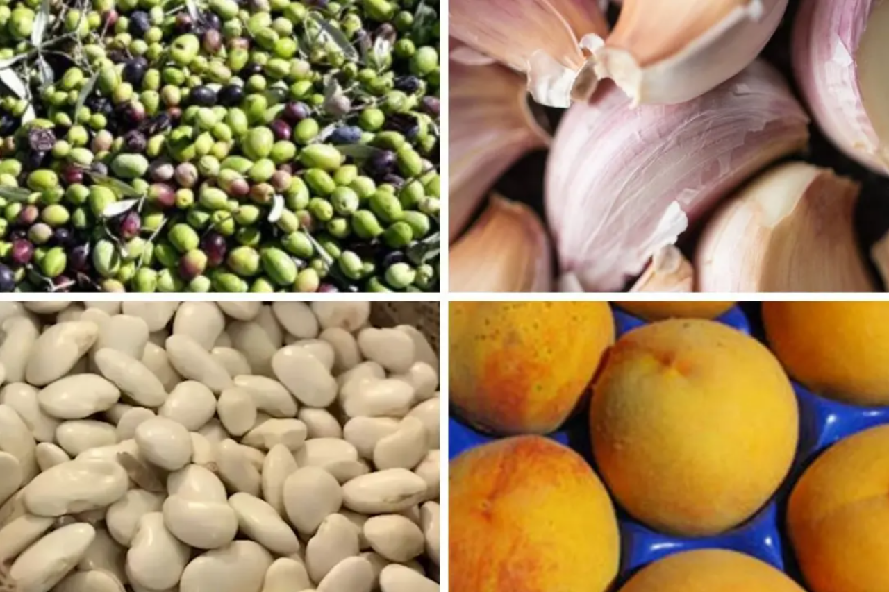 Calabria a “Terra Madre” con quattro nuovi presidi Slow Food