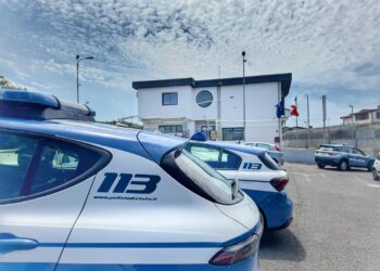 Diamante. Droga destinata allo spaccio in un locale: sospesa la licenza per dieci giorni