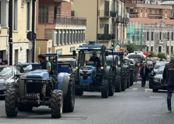 Lamezia Terme. Carovita, studenti e agricoltori in corteo: domani la mobilitazione regionale a Cosenza